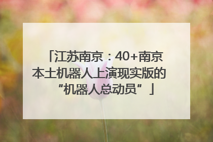 江苏南京：40+南京本土机器人上演现实版的“机器人总动员”