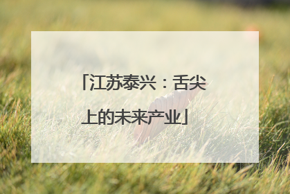 江苏泰兴：舌尖上的未来产业