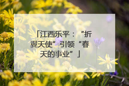 江西乐平：“折翼天使”引领“春天的事业”