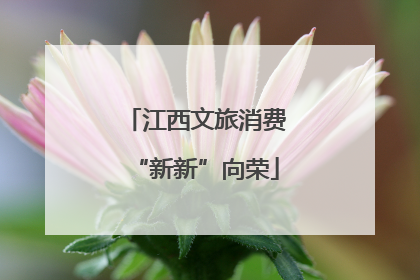 江西文旅消费“新新”向荣