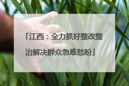 江西：全力抓好整改整治解决群众急难愁盼