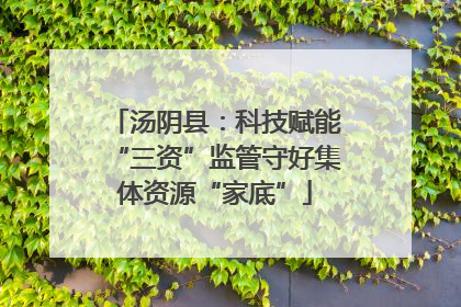 汤阴县：科技赋能“三资”监管守好集体资源“家底”