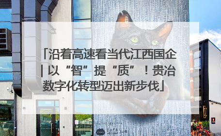 沿着高速看当代江西国企｜以“智”提“质”！贵冶数字化转型迈出新步伐