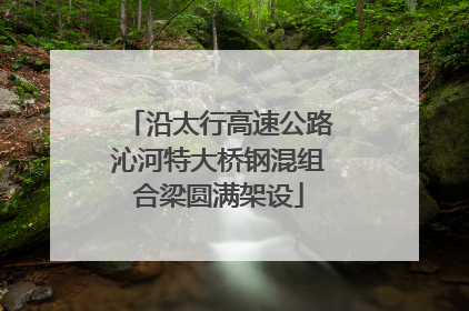 沿太行高速公路沁河特大桥钢混组合梁圆满架设