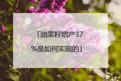 油菜籽增产37%是如何实现的