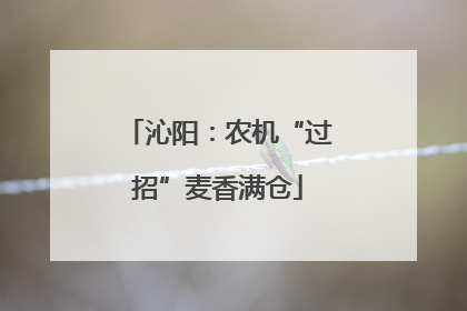 沁阳：农机“过招”麦香满仓