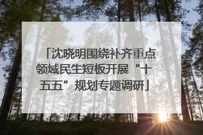 沈晓明围绕补齐重点领域民生短板开展“十五五”规划专题调研