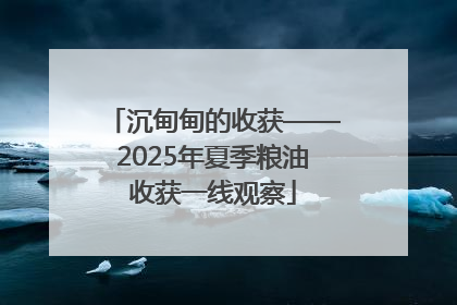 沉甸甸的收获——2025年夏季粮油收获一线观察