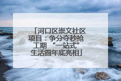 河口区崇文社区项目：争分夺秒抢工期 “一站式”生活圈年底亮相