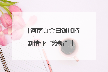 河南真金白银加持制造业“焕新”