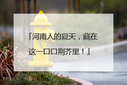河南人的夏天，藏在这一口口荆芥里！