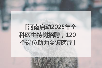 河南启动2025年全科医生特岗招聘，120个岗位助力乡镇医疗