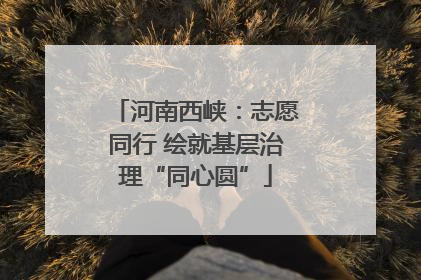河南西峡：志愿同行 绘就基层治理“同心圆”