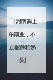 河南遇上东南亚，不止榴莲和奶茶
