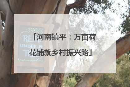 河南镇平：万亩荷花铺就乡村振兴路