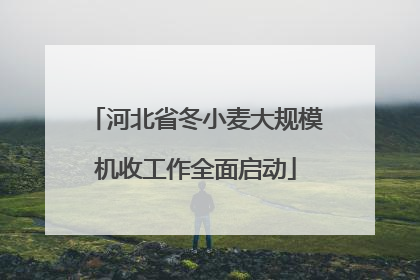 河北省冬小麦大规模机收工作全面启动