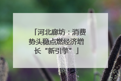 河北廊坊：消费势头稳点燃经济增长“新引擎”