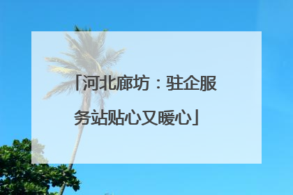 河北廊坊：驻企服务站贴心又暖心