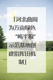 河北曲周为万亩绿色“吨半粮”示范基地创建指挥田机制