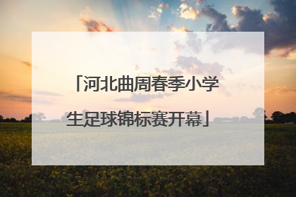 河北曲周春季小学生足球锦标赛开幕