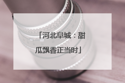 河北阜城：甜瓜飘香正当时