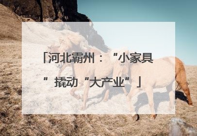 河北霸州：“小家具”撬动“大产业”