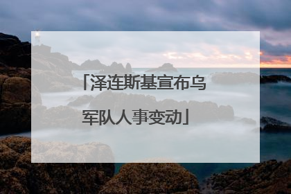 泽连斯基宣布乌军队人事变动