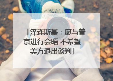 泽连斯基：愿与普京进行会晤 不希望美方退出谈判