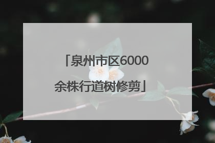 泉州市区6000余株行道树修剪