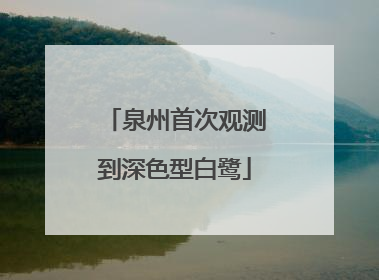 泉州首次观测到深色型白鹭