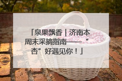 泉果飘香｜济南本周末采摘指南——“杏”好遇见你！