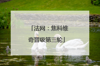 法网：焦科维奇晋级第三轮