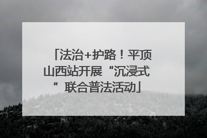 法治+护路！平顶山西站开展“沉浸式”联合普法活动