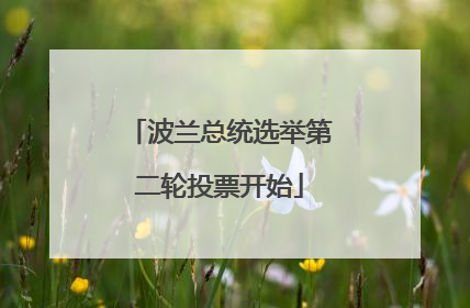 波兰总统选举第二轮投票开始