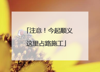 注意！今起顺义这里占路施工