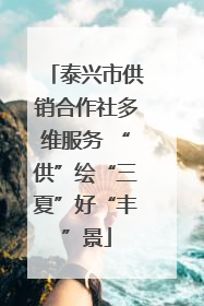 泰兴市供销合作社多维服务 “供”绘“三夏”好“丰”景