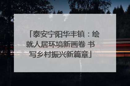 泰安宁阳华丰镇：绘就人居环境新画卷 书写乡村振兴新篇章