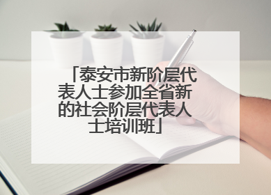 泰安市新阶层代表人士参加全省新的社会阶层代表人士培训班