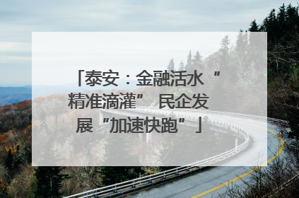 泰安：金融活水“精准滴灌” 民企发展“加速快跑”
