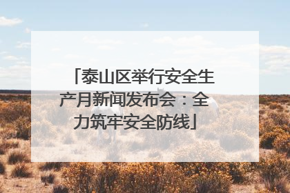 泰山区举行安全生产月新闻发布会：全力筑牢安全防线