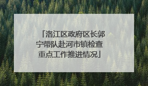 洛江区政府区长郭宁带队赴河市镇检查重点工作推进情况