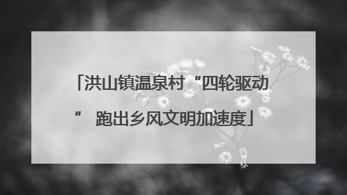 洪山镇温泉村“四轮驱动” 跑出乡风文明加速度