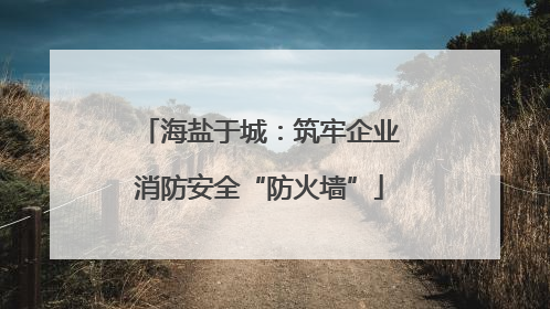 海盐于城：筑牢企业消防安全“防火墙”
