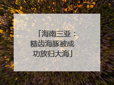 海南三亚：糙齿海豚被成功放归大海