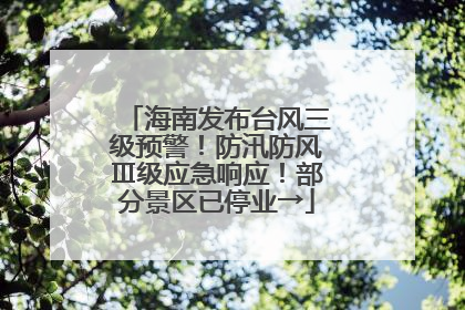 海南发布台风三级预警！防汛防风Ⅲ级应急响应！部分景区已停业→