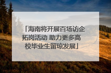 海南将开展百场访企拓岗活动 助力更多高校毕业生留琼发展