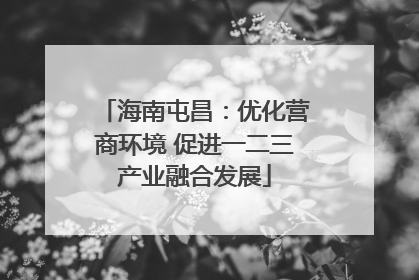 海南屯昌：优化营商环境 促进一二三产业融合发展
