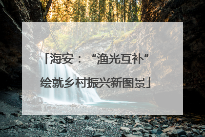 海安：“渔光互补” 绘就乡村振兴新图景