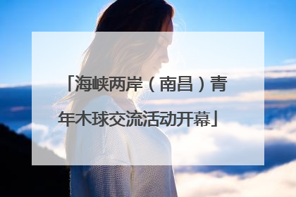 海峡两岸（南昌）青年木球交流活动开幕