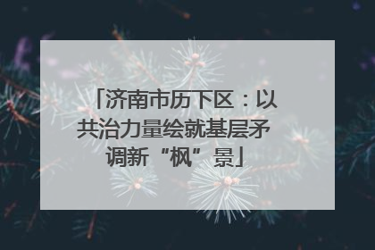 济南市历下区：以共治力量绘就基层矛调新“枫”景